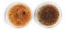 Set X2 Tazas Dakota Doble Vidrio Térmico 250ml Café Aislantes Calor Frío Transparente