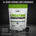 Creatina Star Nutrition Legend Nutrition Monohydrate En Polvo Sin Sabor X 300g