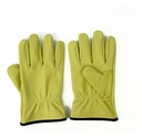 Pack X 24 Guantes Vaqueta Amarilla Talle 10 Amarillo