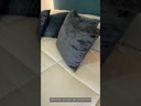 youtube - [Video]