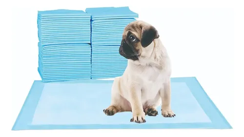 [PET004 714604086826] Training Pads 50 Paños por Caja PET004